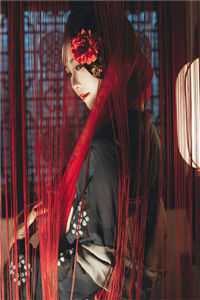 予风予月不予你试读