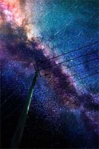 你如雪落寂无声无广告