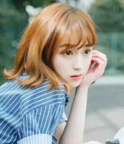 雾隐那年桥目录