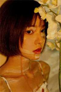 相思不及明月完结版