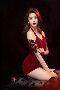 太子宠妾灭妻送我去和亲后，昔日忠犬夜夜欺主已完结版