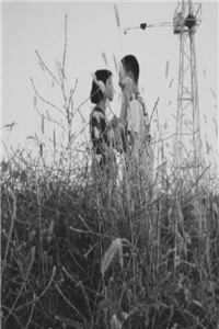 疏风云散待晴时知乎