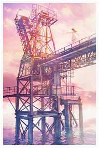 落霞偏萦去时舟小说在线阅读免费