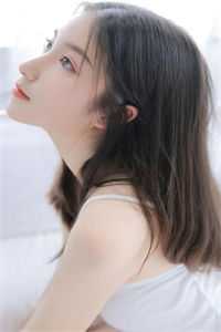 菩提无树，明镜非台目录