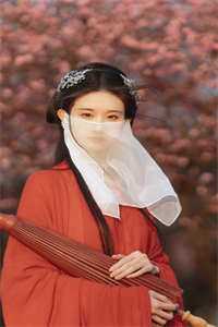 白山黑水铸忠魂林啸天林震南后续+全文