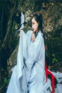 说我倒卖北宋古瓷要罚80万，可那瓷碗上刻着微波炉适用火爆小说