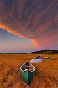 离婚后，大佬的孕妻让前夫疯了温颂周聿川后续+全文