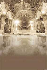 春风难覆桃花雪爆款热文