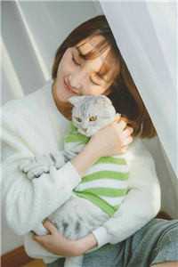 明月清如许，不曾照归人未删减版