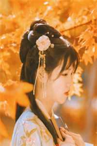 我与皇叔恩爱着呢，太子你装什么情深新上热文