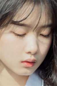 半盏花灯枕明月连载