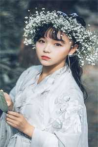 旧梦沉于暮色畅读