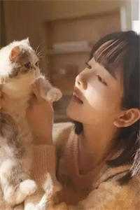 风掠长街花辞树免费阅读