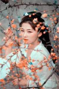 误嫁硬汉后我事业爱情双丰收后续+无弹窗