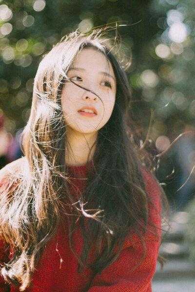 暗香月影绘流年短篇