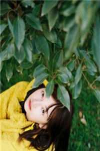 寒关月冷念卿安小说在线阅读免费