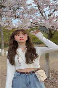 以心为坟，不念前尘小说免费