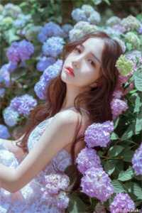 雪落枝头念未休全文章节