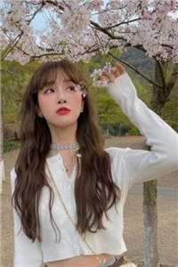 时雁不渡春山关完整作品