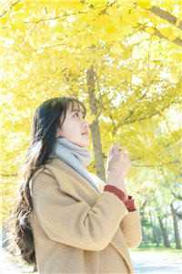 付一阙别离热门小说