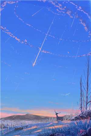 落雪梧桐夜夜歌的小说