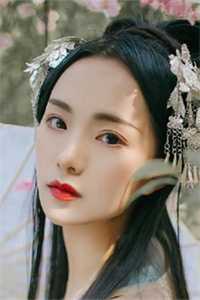 红楼灯火阑珊完整作品