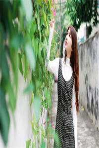 雾锁重楼，旧梦难温结局+番外