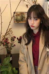 女朋友消失在飞机上后，我笑了林凡苏寒月小说