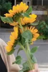 我是山川守着流年全章节阅读