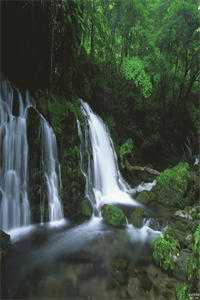 忽有故人心上过抖音热门