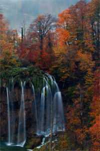 青丝不许负雪信后续+番外