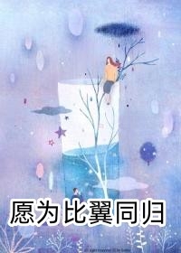 流年不语，悲欢自饮优质全文阅读