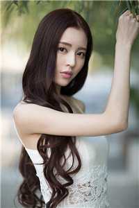 假如我不曾爱过你小说畅读