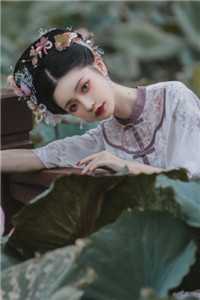 孤舟烟雨两茫茫完整阅读