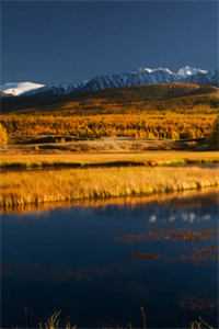 月下有你花下无你小说免费阅读全文