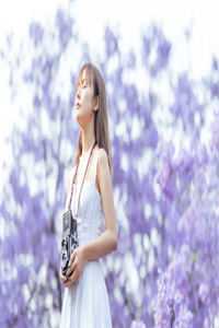 你如夏风迟未至全文+后续