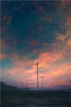 不如相忘于人海合集530最新章节