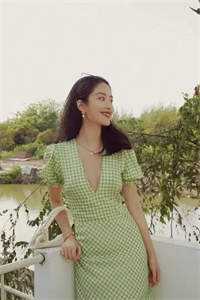 北城旧梦扰清风完结