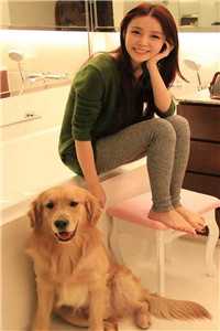 风不曾真正停留全文免费阅读