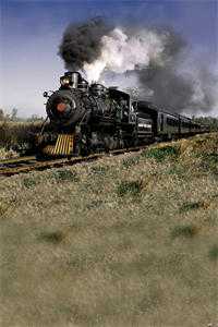 女秘书见义勇为射杀了人质婆婆，老公却说死的是我亲妈后续+番外