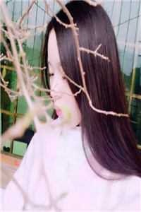 我寄清梦疑孤月完整文集阅读