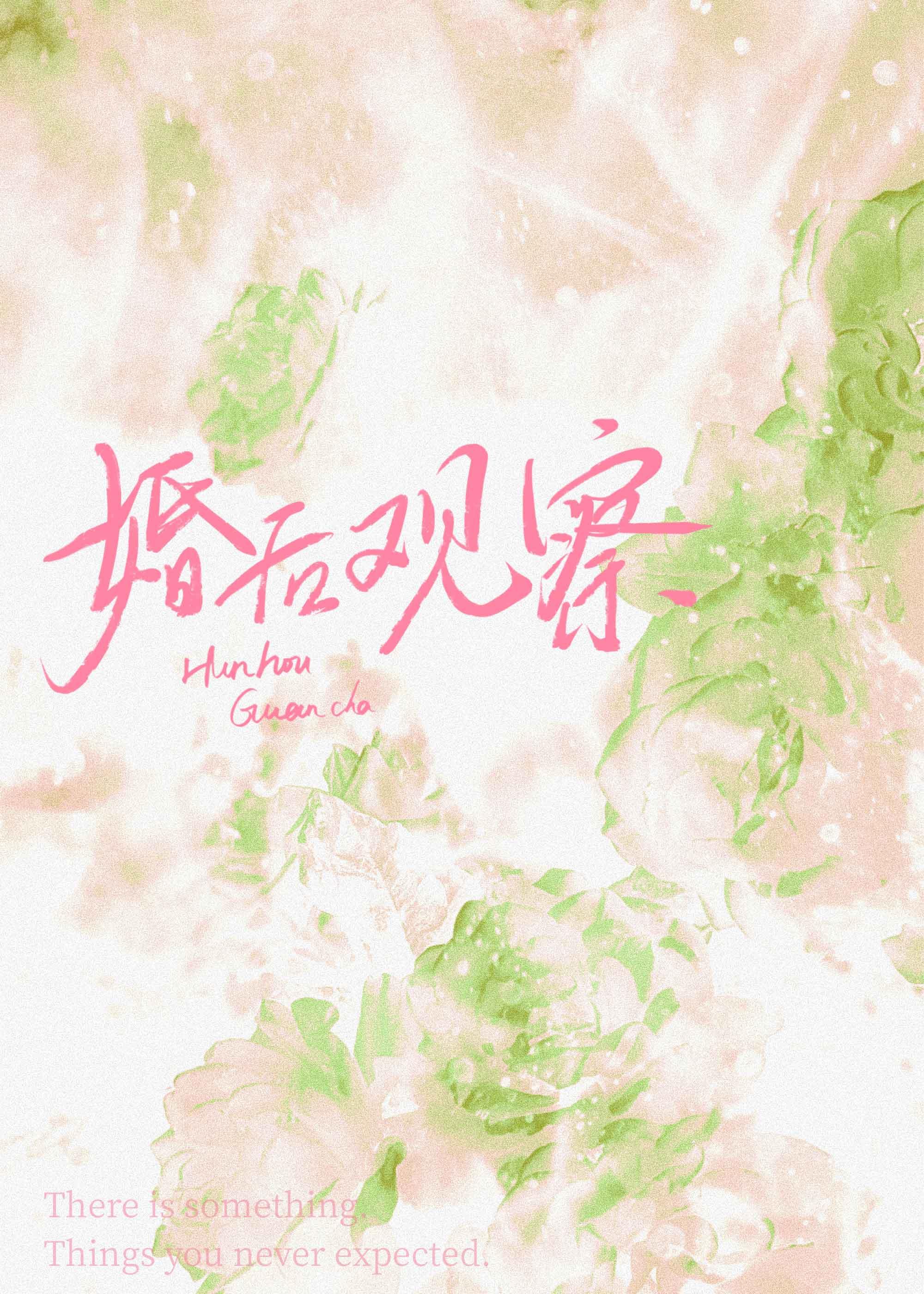 雨过后的风景完本阅读