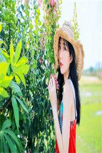 半盏花灯枕明月小说全文免费阅读