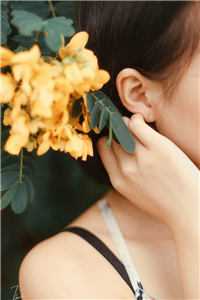 未婚夫悔婚十次后，我成了大佬的娇妻厉翰州韩西若小说