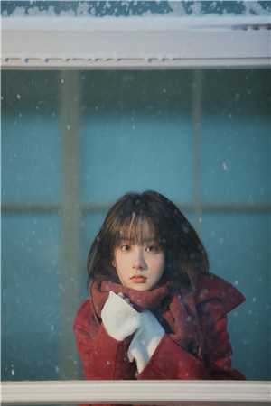 心事终成风中雪完本