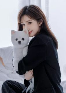 你如雪落寂无声后续+结局