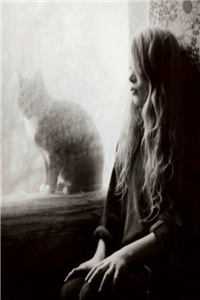 前世你为我坠海，今生我为你而来免费