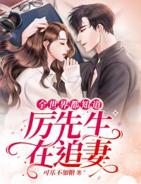 心灯已灭，别后不春后续+无弹窗