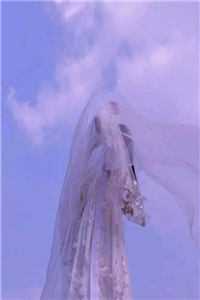 穿越五零：我建起了物资交换据点全章阅读