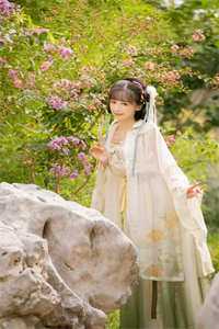 雪落银霜挂满头人气小说